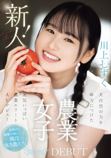 川上しずく