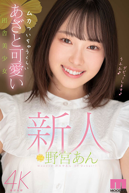 野宮あん
